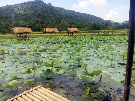 Khám phá vẻ đẹp Hồ Sen Hà Giang