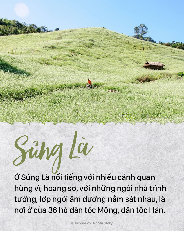 10 địa điểm đẹp nhất nhì Hà Giang mà dân mê xê dịch ai cũng nên ghé - Ảnh 5