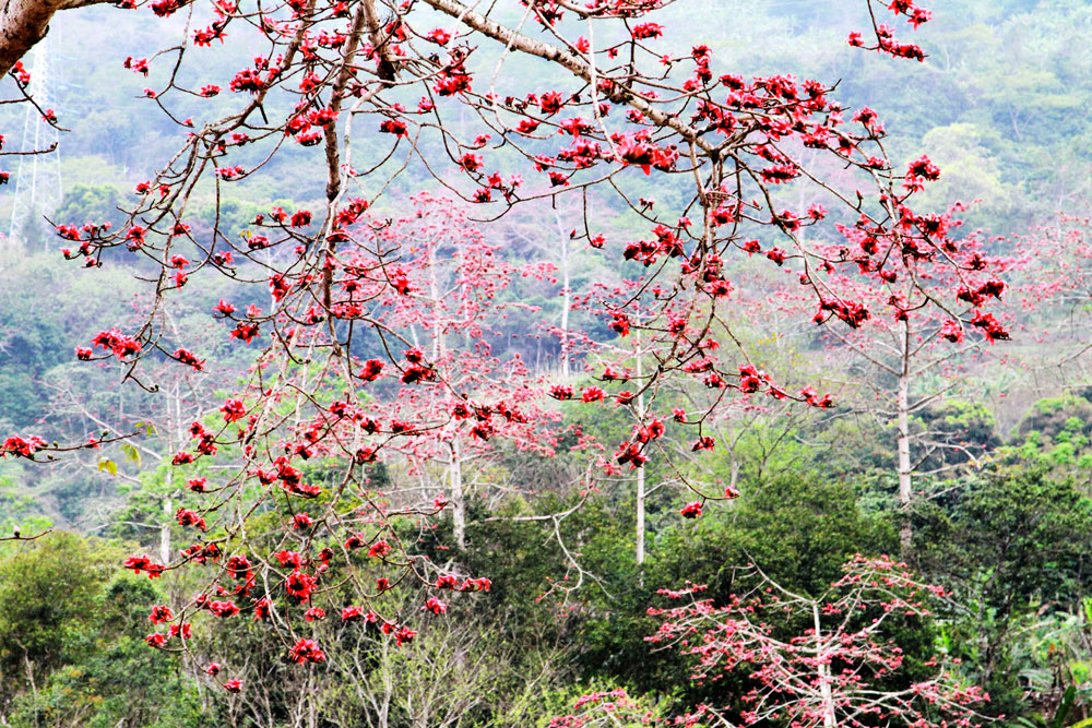 Có Một Hà Giang Bình Yên Người Ta Sống Thanh Bình Ở Đó - Ảnh 6 Có Một Hà Giang Bình Yên Người Ta Sống Thanh Bình Ở Đó - Ảnh 6