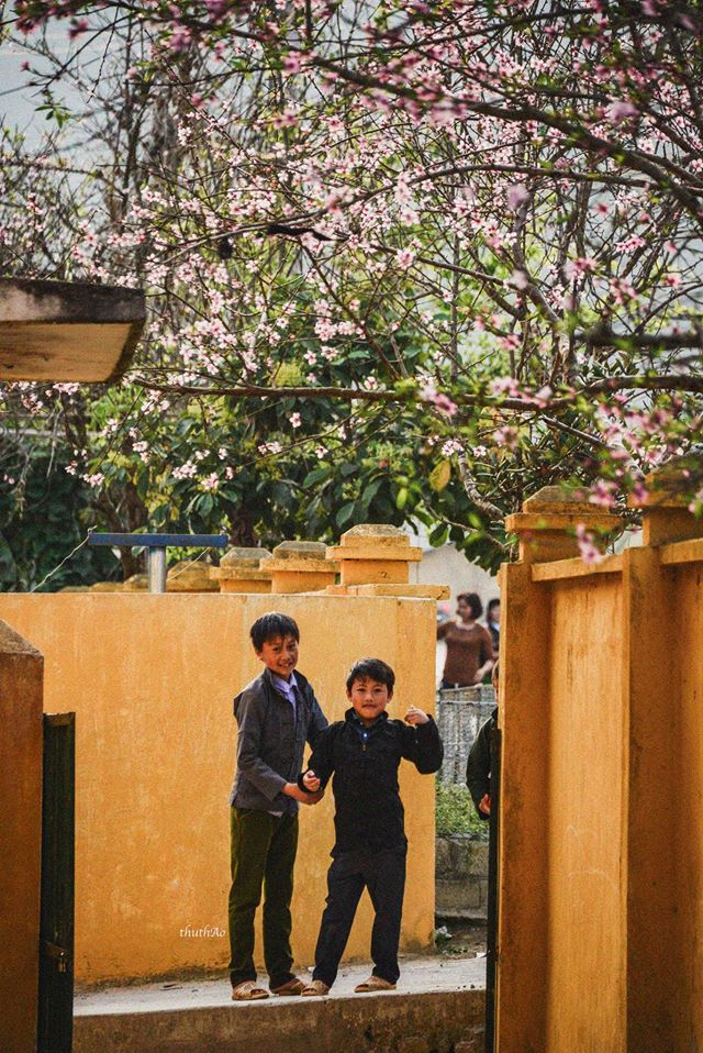 Có Một Hà Giang Của Mùa Xuân Sang Đẹp Như Thế - Ảnh 7 Có Một Hà Giang Của Mùa Xuân Sang Đẹp Như Thế - Ảnh 7