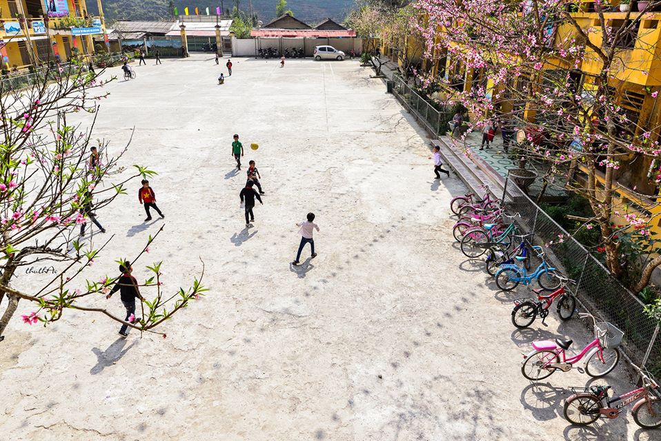 Có Một Hà Giang Của Mùa Xuân Sang Đẹp Như Thế - Ảnh 11 Có Một Hà Giang Của Mùa Xuân Sang Đẹp Như Thế - Ảnh 11