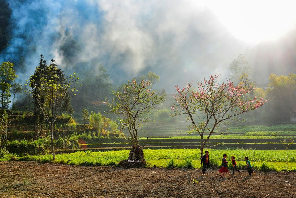 Có Một Hà Giang Của Mùa Xuân Sang Đẹp Như Thế - Ảnh 1 Có Một Hà Giang Của Mùa Xuân Sang Đẹp Như Thế - Ảnh 1
