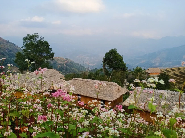 Dao homestay ở Hoàng Su Phì