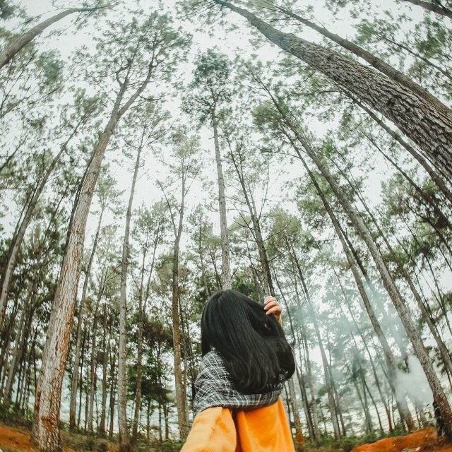 Đi Hà Giang Mùa Hoa Tam Giác Mạch Nên Check-in Ở Đâu Là Đẹp Nhất - Ảnh 19