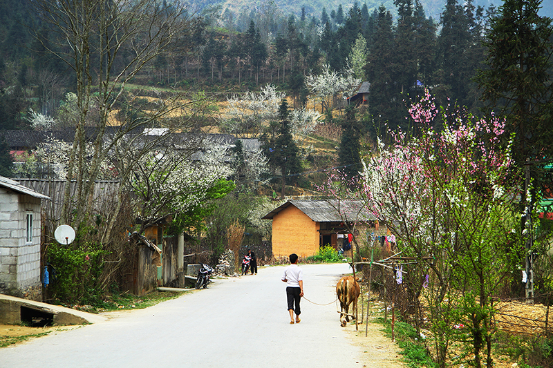 Mùa Xuân Chớ Quên Những Điều Tuyệt Vời Này Nhé! - Ảnh 25