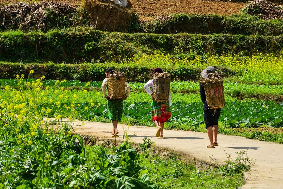 Mùa Xuân Chớ Quên Những Điều Tuyệt Vời Này Nhé! - Ảnh 6