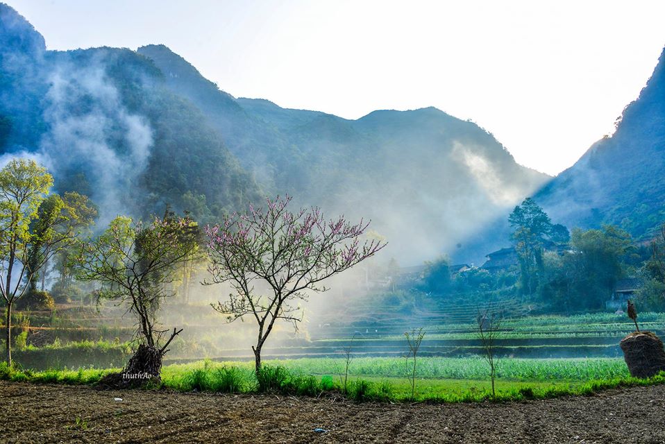 Mùa Xuân Chớ Quên Những Điều Tuyệt Vời Này Nhé! - Ảnh 2