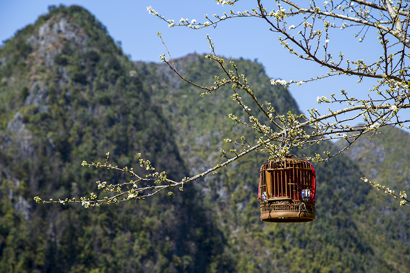 Mùa Xuân Chớ Quên Những Điều Tuyệt Vời Này Nhé! - Ảnh 24