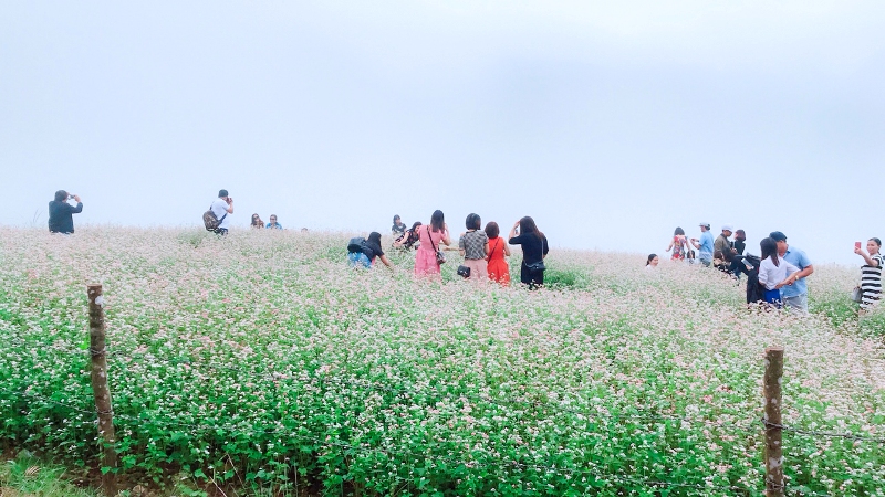 Những điểm đến ấn tượng của miền cực Bắc - Ảnh 1 Những điểm đến ấn tượng của miền cực Bắc - Ảnh 1