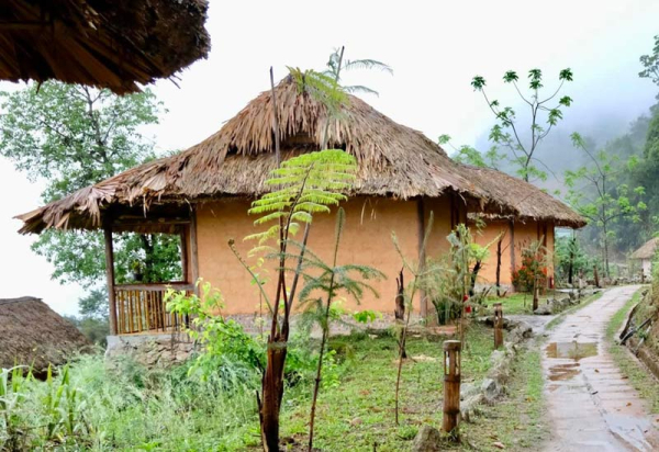 Homestay ở Hoàng Su Phì Hồ Thầu Eco Village