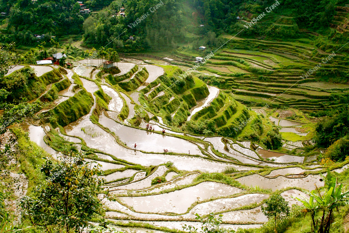 Tháng 5 - 6: Mùa Nước Đổ Mênh Mang Tháng 5 - 6: Mùa Nước Đổ Mênh Mang