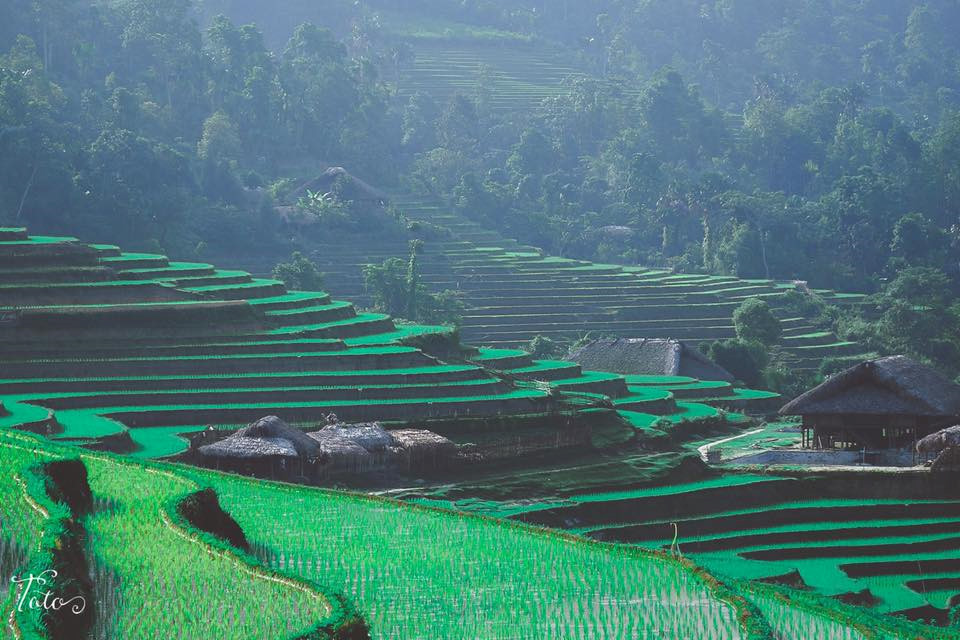 Kinh Nghiệm Khám Phá Hà Giang 3 Ngày 2 Đêm Chưa Đến 2Tr - Ảnh 1 Kinh Nghiệm Khám Phá Hà Giang 3 Ngày 2 Đêm Chưa Đến 2Tr - Ảnh 1