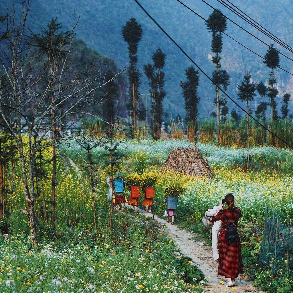 Những Điểm Check-in Hà Giang, Sapa Không Bao Giờ Chán - Ảnh 4 Những Điểm Check-in Hà Giang, Sapa Không Bao Giờ Chán - Ảnh 4