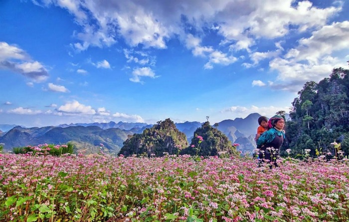 HÀ GIANG THÁNG 10: NGỌT NGÀO MÀU TAM GIÁC MẠCH - Ảnh 3
