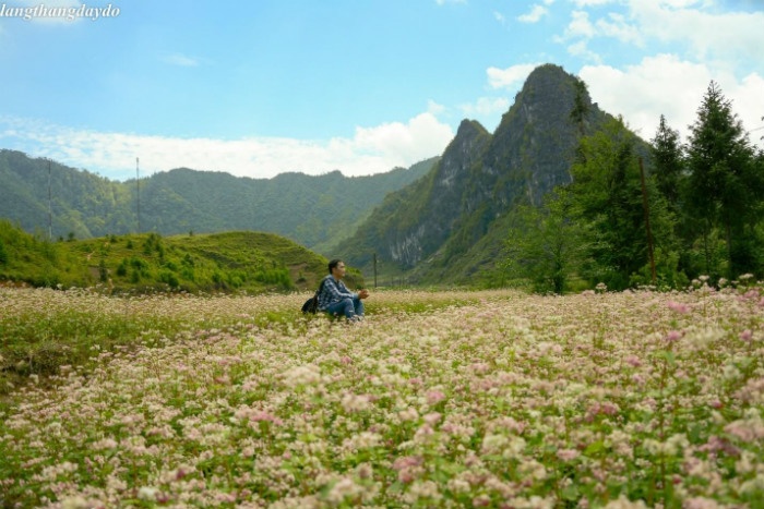 HÀ GIANG THÁNG 10: NGỌT NGÀO MÀU TAM GIÁC MẠCH - Ảnh 4