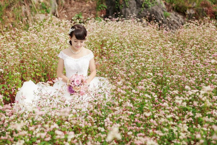 HÀ GIANG THÁNG 10: NGỌT NGÀO MÀU TAM GIÁC MẠCH - Ảnh 5