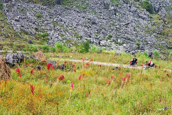 HÀ GIANG THÁNG 10: TÍA ĐỎ MÀU HOA DỀN - Ảnh 3