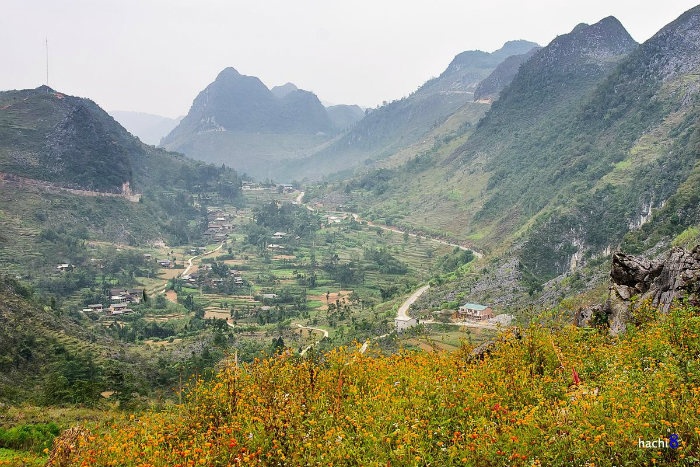 HÀ GIANG THÁNG 10 VÔ: VÀN MÀU HOA DẠI CHẲNG CẦN GỌI TÊN - Ảnh 2