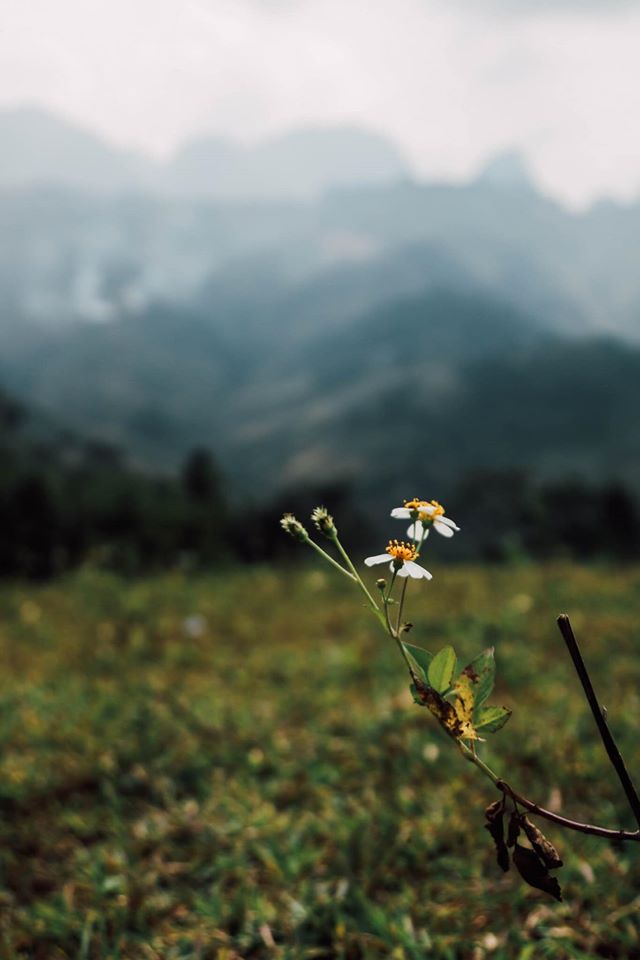 Review Hành Trình 4 Ngày 5 Đêm Khám Phá Hà Giang Hùng VĨ - Ảnh 6 Review Hành Trình 4 Ngày 5 Đêm Khám Phá Hà Giang Hùng VĨ - Ảnh 6