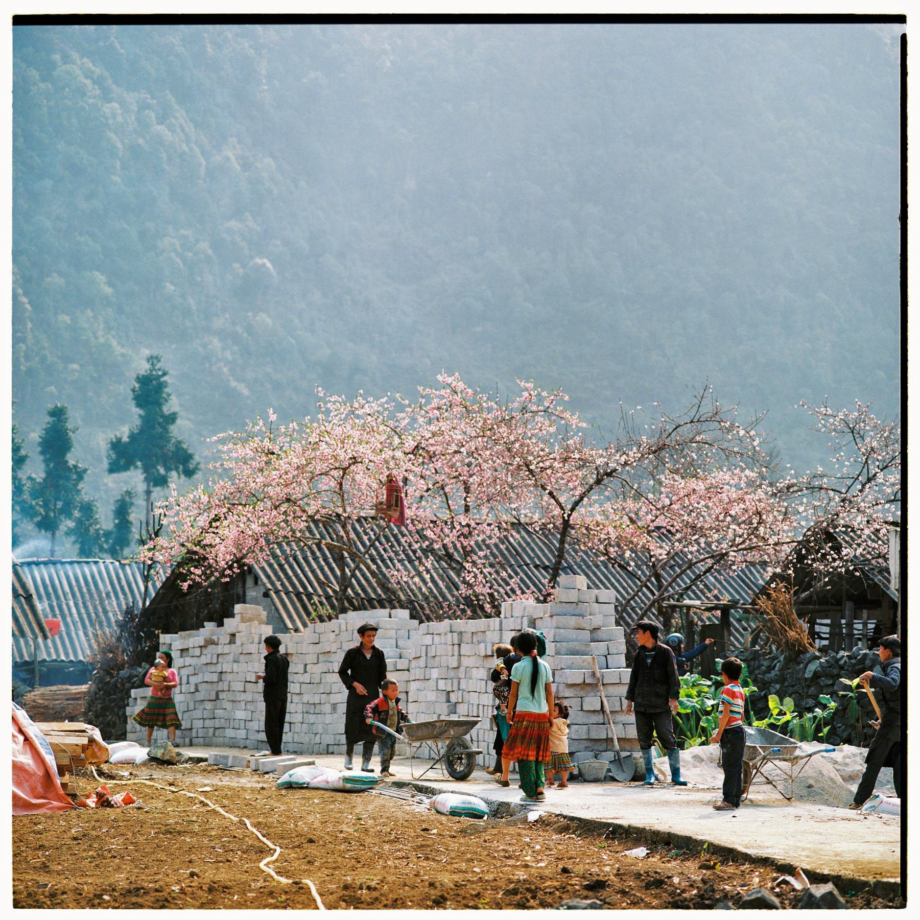 Sắc Xuân Bất Tận Trên Cao Nguyên Đá Hà Giang - Ảnh 12