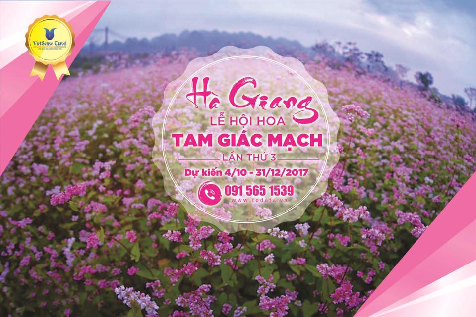 THÔNG TIN LỄ HỘI HOA TAM GIÁC MẠCH LẦN III NĂM 2017 - Ảnh 1 THÔNG TIN LỄ HỘI HOA TAM GIÁC MẠCH LẦN III NĂM 2017 - Ảnh 1