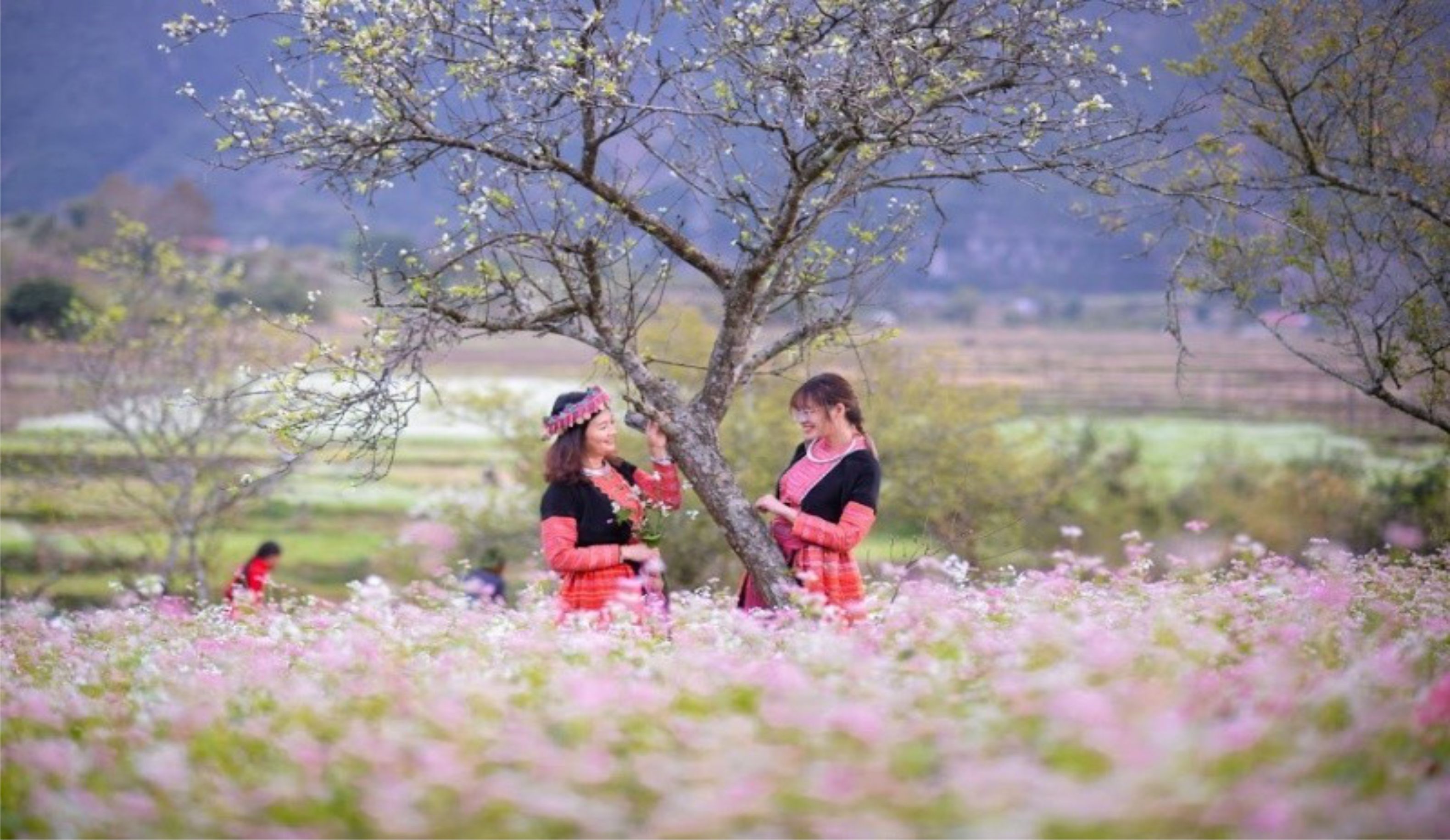 TOP 11 ĐỊA ĐIỂM ĐẸP TẠI HÀ GIANG KHÔNG THỂ BỎ QUA - Ảnh 8 TOP 11 ĐỊA ĐIỂM ĐẸP TẠI HÀ GIANG KHÔNG THỂ BỎ QUA - Ảnh 8