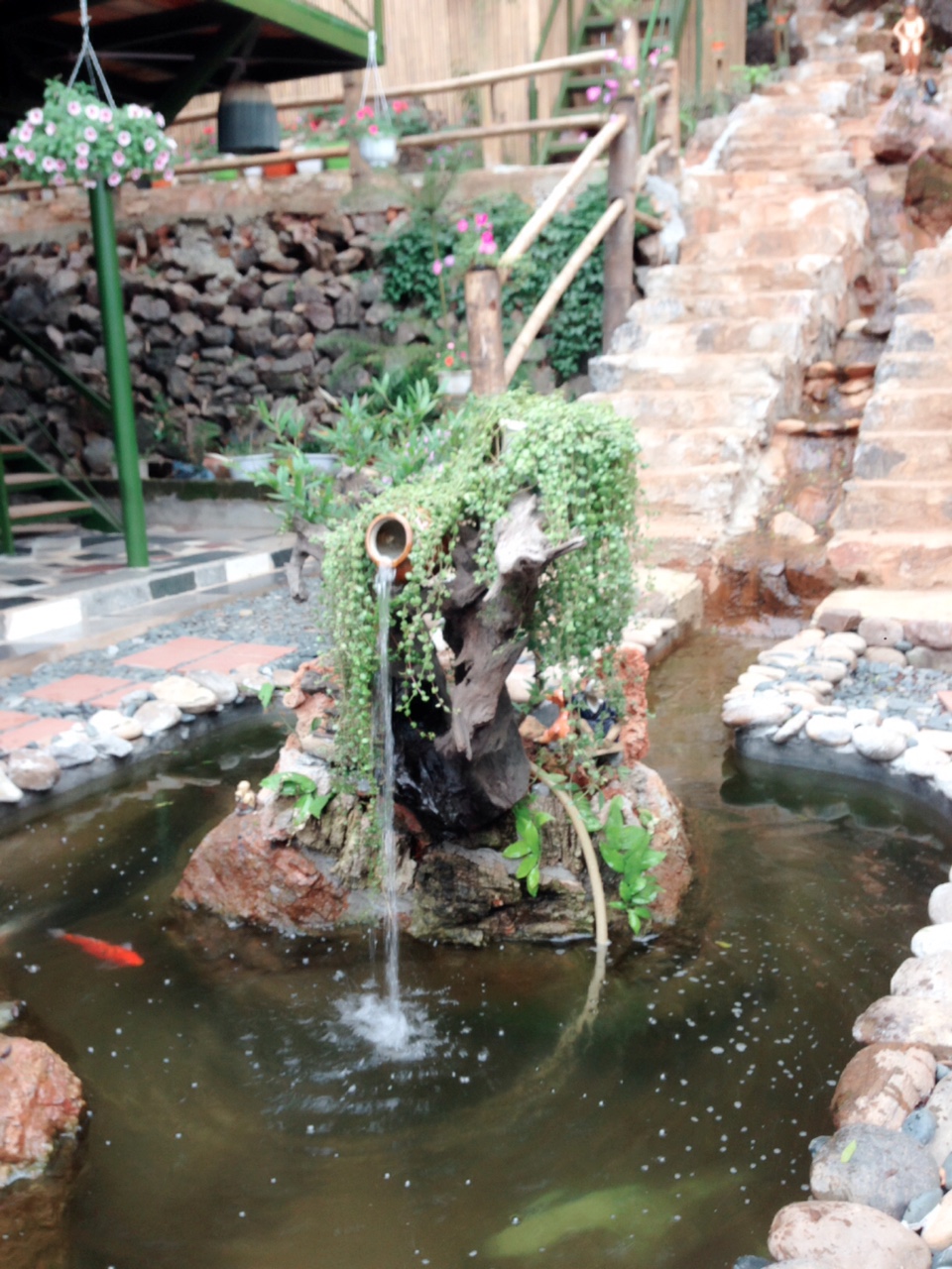 Tuyên Quang – Tp Hà Giang – Yên Minh – Đồng Văn - Mã Pí Lèng - 3 Ngày 2 Đêm - Ảnh 4