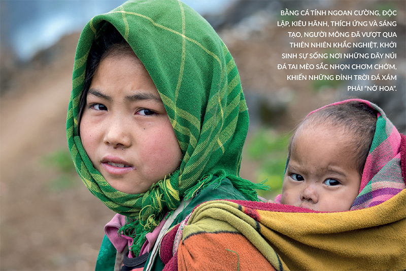 SINH TỒN TRONG GIAN KHÓ