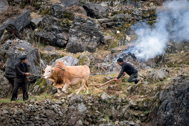 SỐNG TRONG ĐÁ CHẾT NẰM TRONG ĐÁ - Ảnh 2