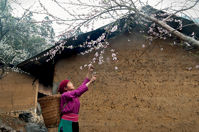 CHỢ PHIÊN – ĐẶC SẢN CAO NGUYÊN ĐÁ - Ảnh 2