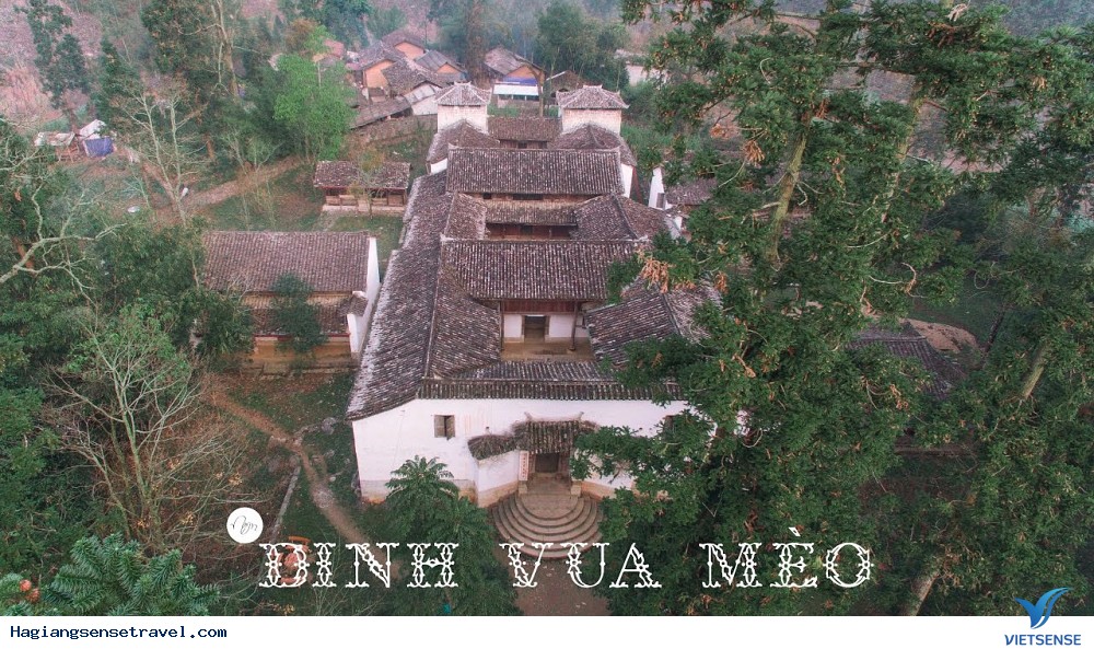 Tiểu sử Vua Mèo và dinh thự trị giá 15,000 đồng bạc hoa xòe - Ảnh 1