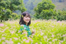 Say lòng mùa hoa Tam Giác Mạch ở Hà Giang