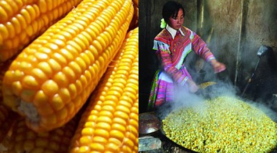 9 Đặc Sản Độc Đáo Của Vùng Cao Hà Giang 9 Đặc Sản Độc Đáo Của Vùng Cao Hà Giang