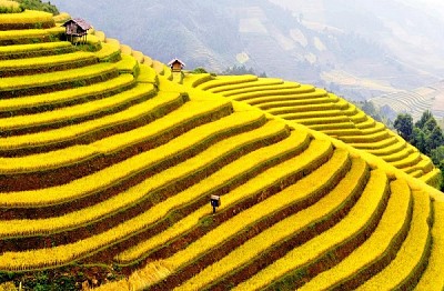 Các Điểm Du Lịch Hà Giang Hấp Dẫn ( P1 ) Các Điểm Du Lịch Hà Giang Hấp Dẫn ( P1 )