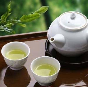Chè San Tuyết Hà Giang Chè San Tuyết Hà Giang