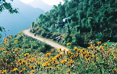 Đến Với Con Đường Đá Nở Hoa Tuyệt Vời Ở Hà Giang Đến Với Con Đường Đá Nở Hoa Tuyệt Vời Ở Hà Giang