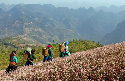 Du Lịch Hà Giang 6 Tháng Đầu Năm Du Lịch Hà Giang 6 Tháng Đầu Năm