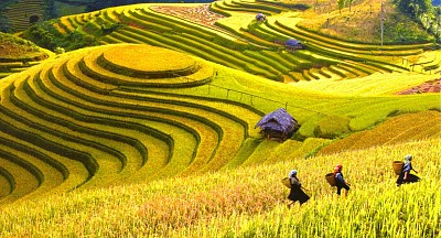Du lịch Hà Giang chiêm ngưỡng vẻ đẹp Ruộng bậc thang Du lịch Hà Giang chiêm ngưỡng vẻ đẹp Ruộng bậc thang