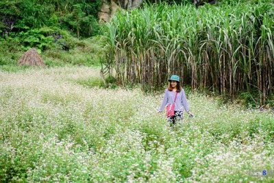 Du Lịch Hà Giang Và Những Trải Nghiệm Thú Vị Khó Quên Du Lịch Hà Giang Và Những Trải Nghiệm Thú Vị Khó Quên