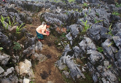 Du lịch Hà Giang vào mùa vụ Du lịch Hà Giang vào mùa vụ