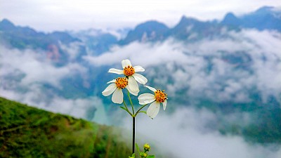 Gợi Ý Lịch Trình Du Lịch Hà Giang - Cao Bằng 5 Ngày Siêu Chi Tiết (Cập Nhật 2020) Gợi Ý Lịch Trình Du Lịch Hà Giang - Cao Bằng 5 Ngày Siêu Chi Tiết (Cập Nhật 2020)