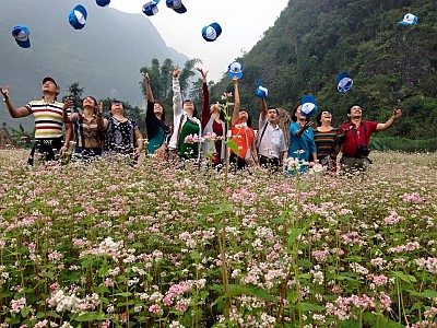Hà Giang Lo Ngại Quá Tải Ở Lễ Hội Hoa Tam Giác Mạch, Huy Động Thêm Nhà Bạt Hà Giang Lo Ngại Quá Tải Ở Lễ Hội Hoa Tam Giác Mạch, Huy Động Thêm Nhà Bạt