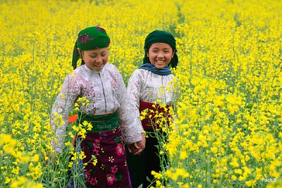 Hà Giang: Xuân Về Trong Ánh Mắt Trẻ Thơ Hà Giang: Xuân Về Trong Ánh Mắt Trẻ Thơ