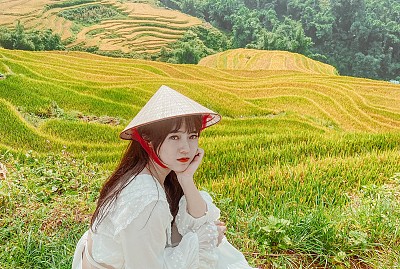 Hoàng Su Phì - Mùa Lúa Chín Nước Đổ Hoàng Su Phì - Mùa Lúa Chín Nước Đổ