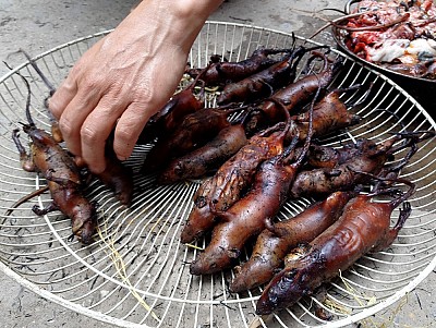 Khám Phá Ẩm Thực Hà Giang Khiến Nhiều Người Khóc Thét Khám Phá Ẩm Thực Hà Giang Khiến Nhiều Người Khóc Thét