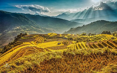 Kinh Nghiệm Đi Du Lịch Hà Giang Mùa Lúa Chín Năm Nay 2023 Kinh Nghiệm Đi Du Lịch Hà Giang Mùa Lúa Chín Năm Nay 2023