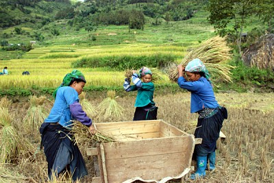 Những Đặc Sản Mua Về Làm Quà Khi Du Lịch Hà Giang Những Đặc Sản Mua Về Làm Quà Khi Du Lịch Hà Giang