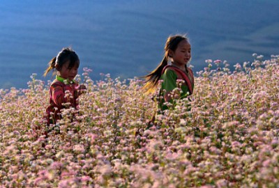 Những Trải Nghiệm Thú Vị Chỉ Có Ở Hà Giang Những Trải Nghiệm Thú Vị Chỉ Có Ở Hà Giang