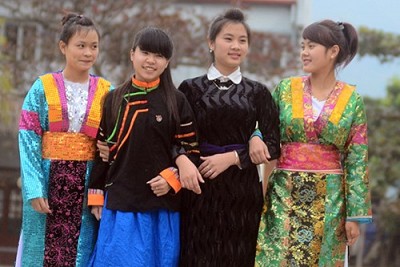 Vẻ Đẹp Những Bông Hoa Núi Rừng Trên Cao Nguyên Đá Vẻ Đẹp Những Bông Hoa Núi Rừng Trên Cao Nguyên Đá