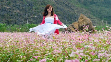 Bắc Quang - Quản Bạ - Yên Minh - Đồng Văn - Mã Pí Lèng - Mèo Vạc - Tuyên Quang 4 Ngày 3 Đêm: Khởi Hành Thứ 5 Hàng Tuần
